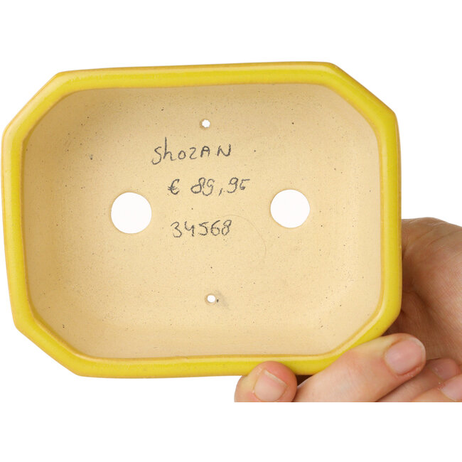 Vaso bonsai rettangolare giallo di Shouzan - 118 x 97 x 42 mm