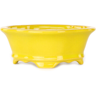Shouzan  (Akira/Masami Watanabe) 130 mm  yellow bonsai pot by Shouzan, Japan