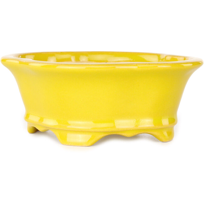 Pot à bonsaï jaune Mokko par Shouzan - 130 x 110 x 50 mm