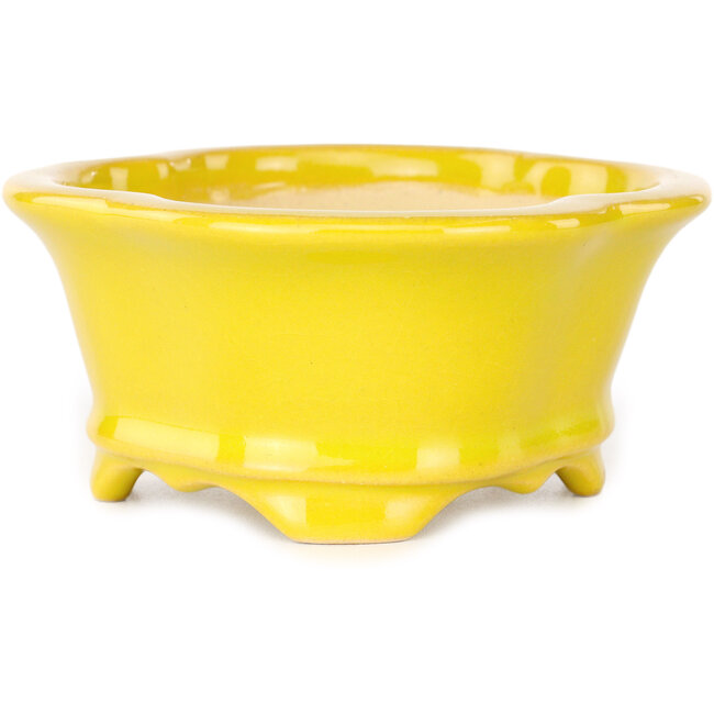 Mokko gelber Bonsaitopf von Shouzan – 130 x 110 x 50 mm