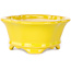 Mokko yellow bonsai pot by Shouzan - 130 x 110 x 50 mm