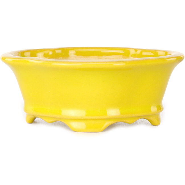 Mokko yellow bonsai pot by Shouzan - 130 x 110 x 50 mm