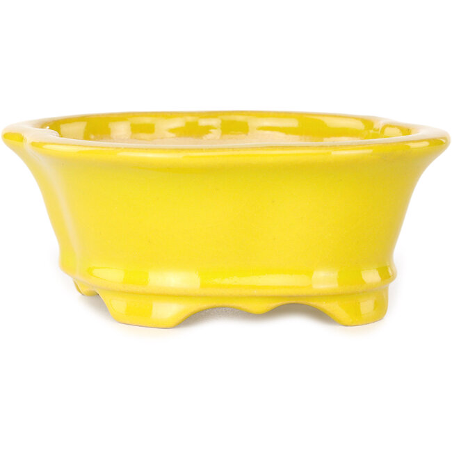 Vaso bonsai Mokko giallo di Shouzan - 130 x 110 x 50 mm