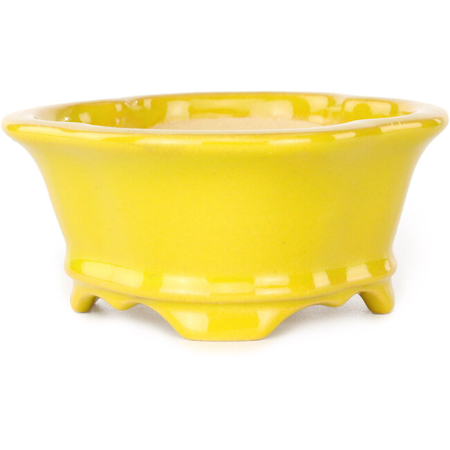 Vaso bonsai Mokko giallo di Shouzan - 130 x 110 x 50 mm