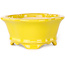 Pot à bonsaï jaune Mokko par Shouzan - 130 x 110 x 50 mm