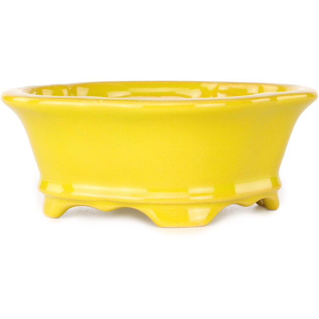 Vaso bonsai Mokko giallo di Shouzan - 130 x 110 x 50 mm