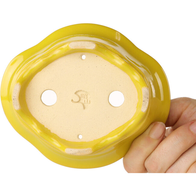 Pot à bonsaï jaune Mokko par Shouzan - 130 x 110 x 50 mm