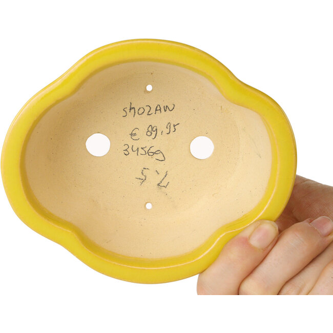 Vaso bonsai Mokko giallo di Shouzan - 130 x 110 x 50 mm