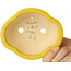 Pot à bonsaï jaune Mokko par Shouzan - 130 x 110 x 50 mm