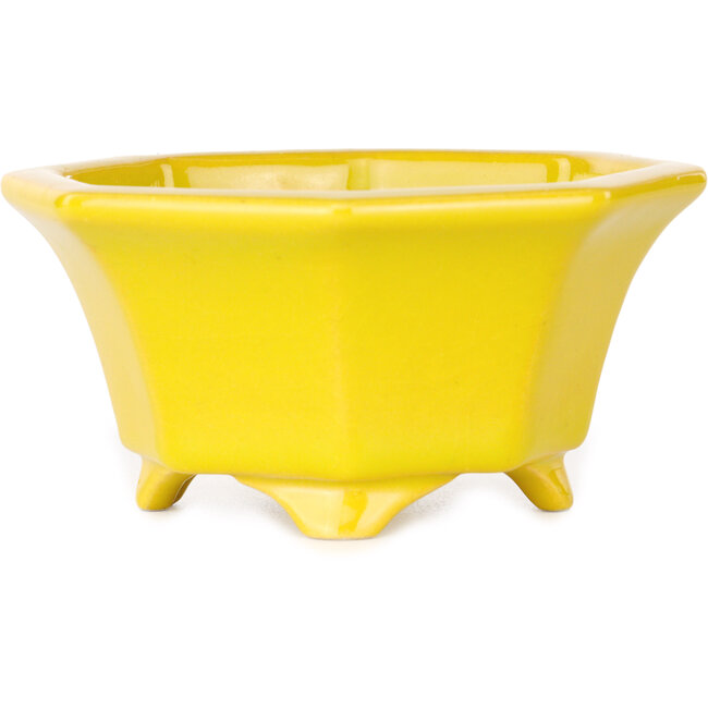 Octagonal yellow bonsai pot by Shouzan - 110 x 110 x 60 mm