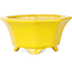 Achthoekige gele bonsaipot van Shouzan - 110 x 110 x 60 mm