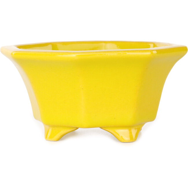 Vaso ottagonale giallo per bonsai di Shouzan - 110 x 110 x 60 mm