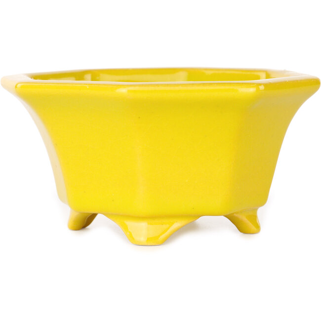 Pot à bonsaï octogonal jaune de Shouzan - 110 x 110 x 60 mm