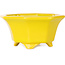Achthoekige gele bonsaipot van Shouzan - 110 x 110 x 60 mm