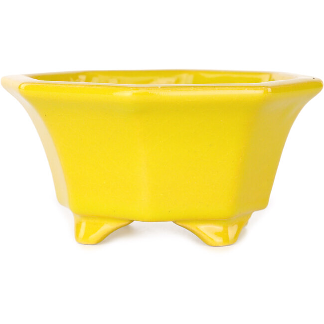 Octagonal yellow bonsai pot by Shouzan - 110 x 110 x 60 mm