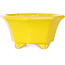Octagonal yellow bonsai pot by Shouzan - 110 x 110 x 60 mm