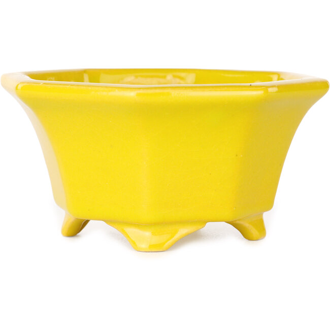 Maceta octogonal amarilla para bonsái de Shouzan - 110 x 110 x 60 mm