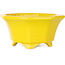 Octagonal yellow bonsai pot by Shouzan - 110 x 110 x 60 mm