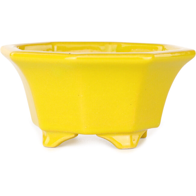 Octagonal yellow bonsai pot by Shouzan - 110 x 110 x 60 mm