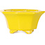 Achthoekige gele bonsaipot van Shouzan - 110 x 110 x 60 mm