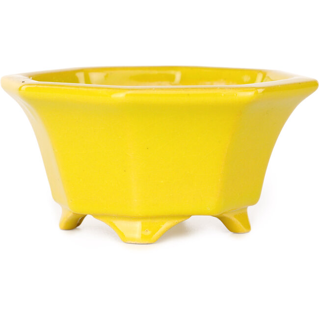 Vaso ottagonale giallo per bonsai di Shouzan - 110 x 110 x 60 mm