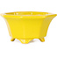 Pot à bonsaï octogonal jaune de Shouzan - 110 x 110 x 60 mm