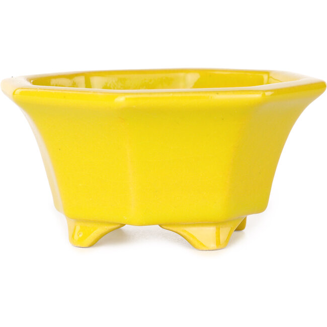 Maceta octogonal amarilla para bonsái de Shouzan - 110 x 110 x 60 mm