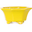 Vaso ottagonale giallo per bonsai di Shouzan - 110 x 110 x 60 mm
