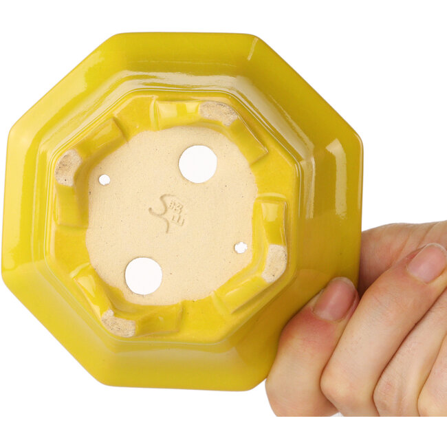 Pot à bonsaï octogonal jaune de Shouzan - 110 x 110 x 60 mm