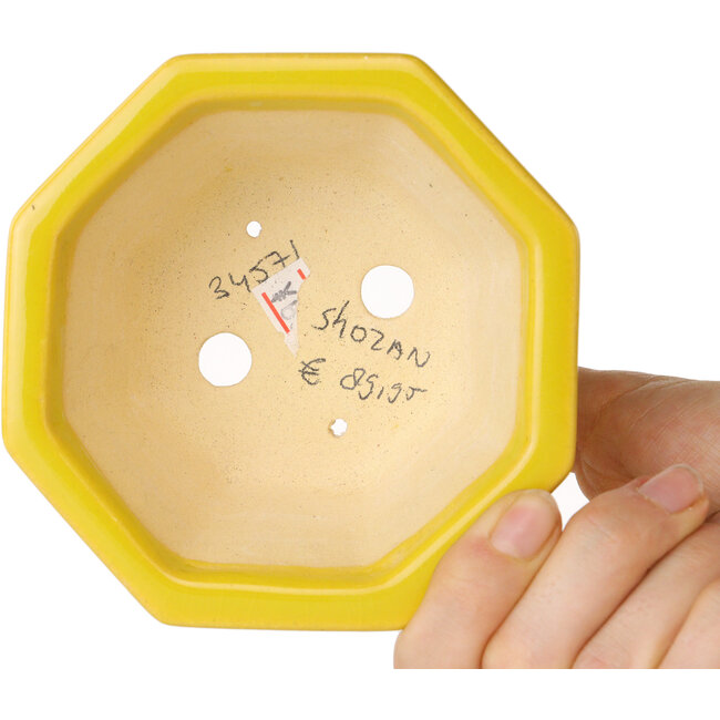Vaso ottagonale giallo per bonsai di Shouzan - 110 x 110 x 60 mm