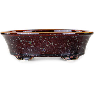Heian Kosen 180 mm  brown bonsai pot by Heian Kosen, Kyoto, Japan
