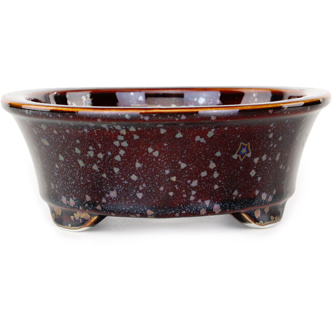 Maceta ovalada para bonsái marrón de Heian Kosen - 180 x 142 x 52 mm