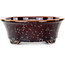 Ovaler brauner Bonsaitopf von Heian Kosen – 180 x 142 x 52 mm