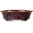Pot à bonsaï ovale marron par Heian Kosen - 180 x 142 x 52 mm