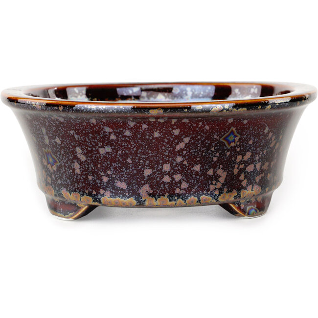 Vaso bonsai ovale marrone di Heian Kosen - 180 x 142 x 52 mm