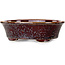 Vaso bonsai ovale marrone di Heian Kosen - 180 x 142 x 52 mm