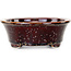 Pot à bonsaï ovale marron par Heian Kosen - 180 x 142 x 52 mm