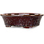 Ovaler brauner Bonsaitopf von Heian Kosen – 180 x 142 x 52 mm