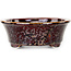 Ovale bruine bonsaipot van Heian Kosen - 180 x 142 x 52 mm