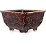 Maceta cuadrada marrón para bonsái de Heian Kosen - 133 x 133 x 80 mm