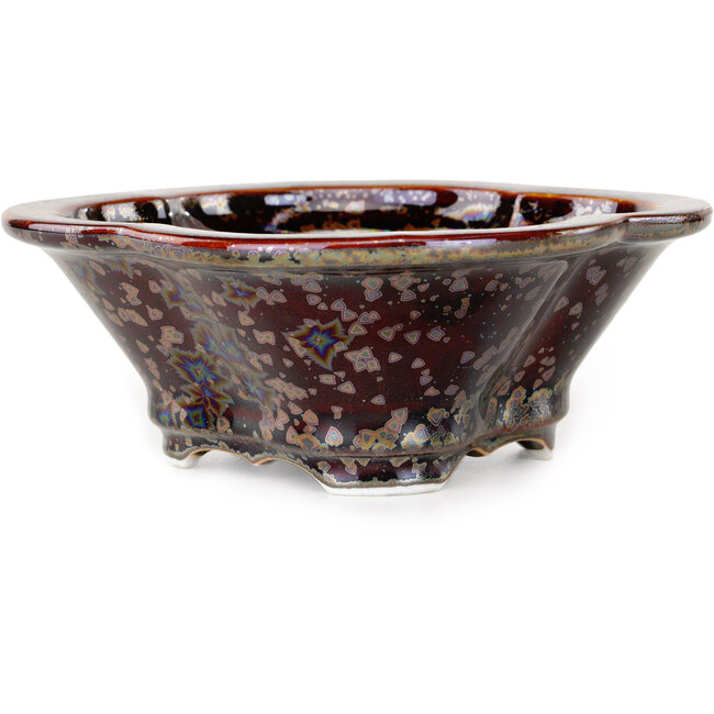 Mokko brown bonsai pot by Heian Kosen - 170 x 157 x 60 mm