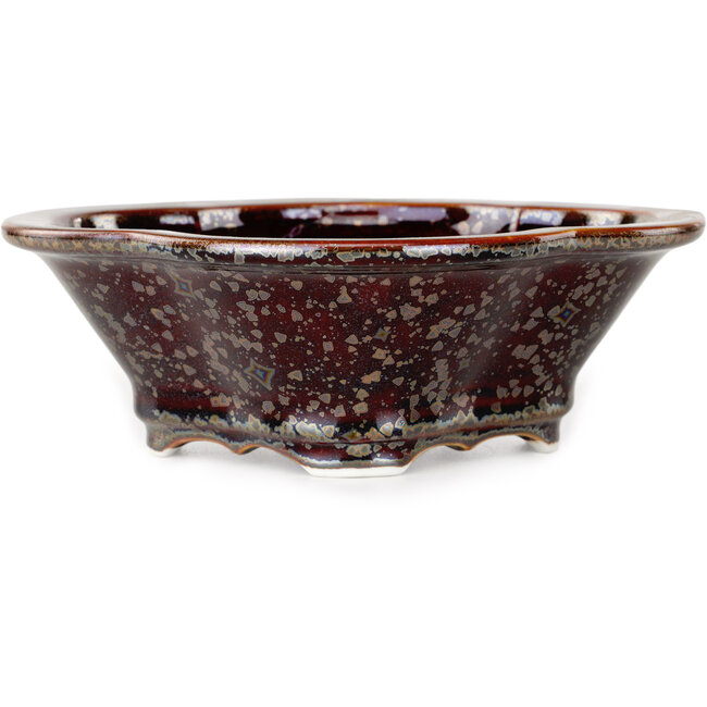 Maceta para bonsái Mokko marrón de Heian Kosen - 170 x 157 x 60 mm