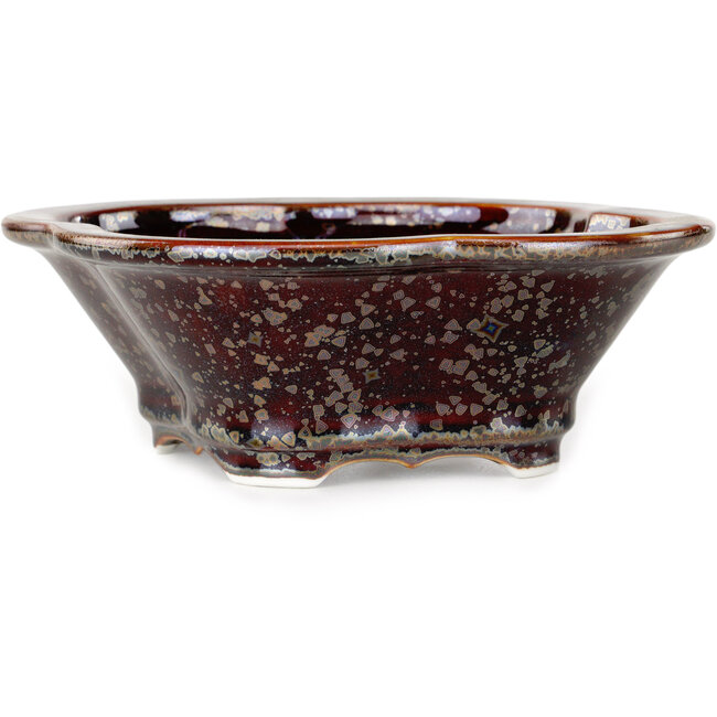 Pot à bonsaï marron Mokko de Heian Kosen - 170 x 157 x 60 mm