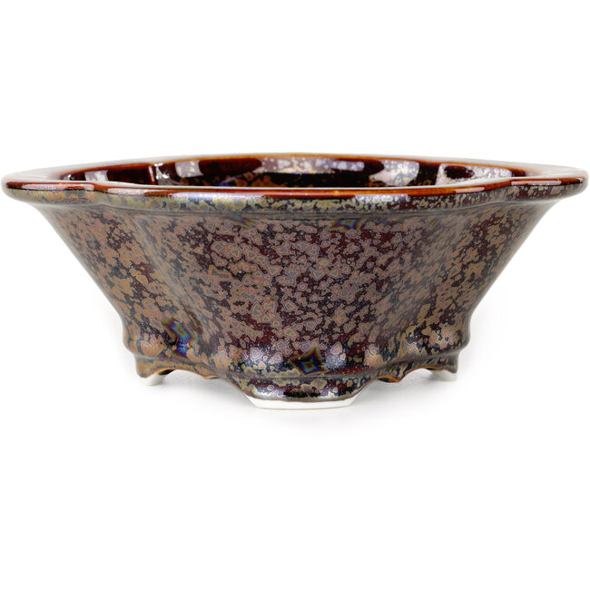 Pot à bonsaï marron Mokko de Heian Kosen - 170 x 157 x 60 mm