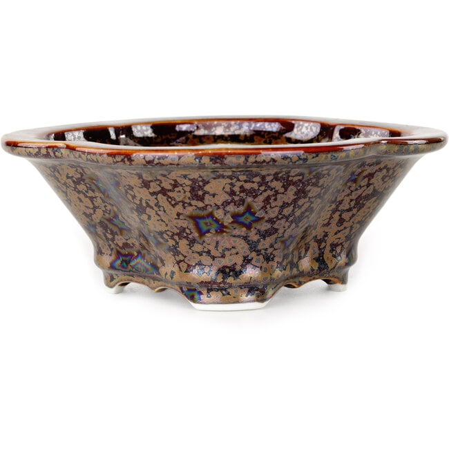 Maceta para bonsái Mokko marrón de Heian Kosen - 170 x 157 x 60 mm