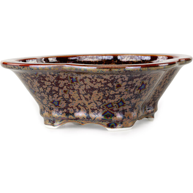 Mokko brown bonsai pot by Heian Kosen - 170 x 157 x 60 mm