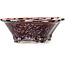 Mokko brown bonsai pot by Heian Kosen - 153 x 140 x 53 mm
