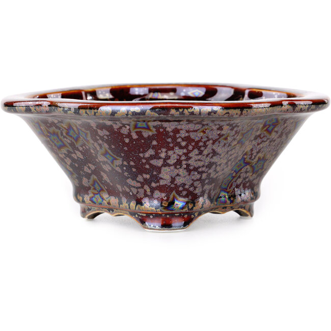 Maceta para bonsái marrón Mokko de Heian Kosen - 153 x 140 x 53 mm