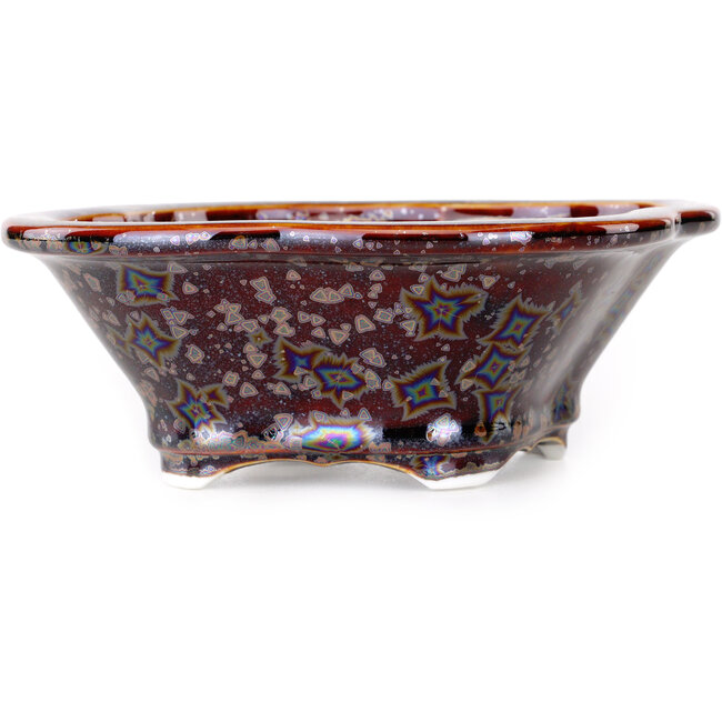 Maceta para bonsái marrón Mokko de Heian Kosen - 153 x 140 x 53 mm