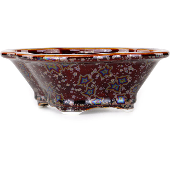 Maceta para bonsái marrón Mokko de Heian Kosen - 153 x 140 x 53 mm